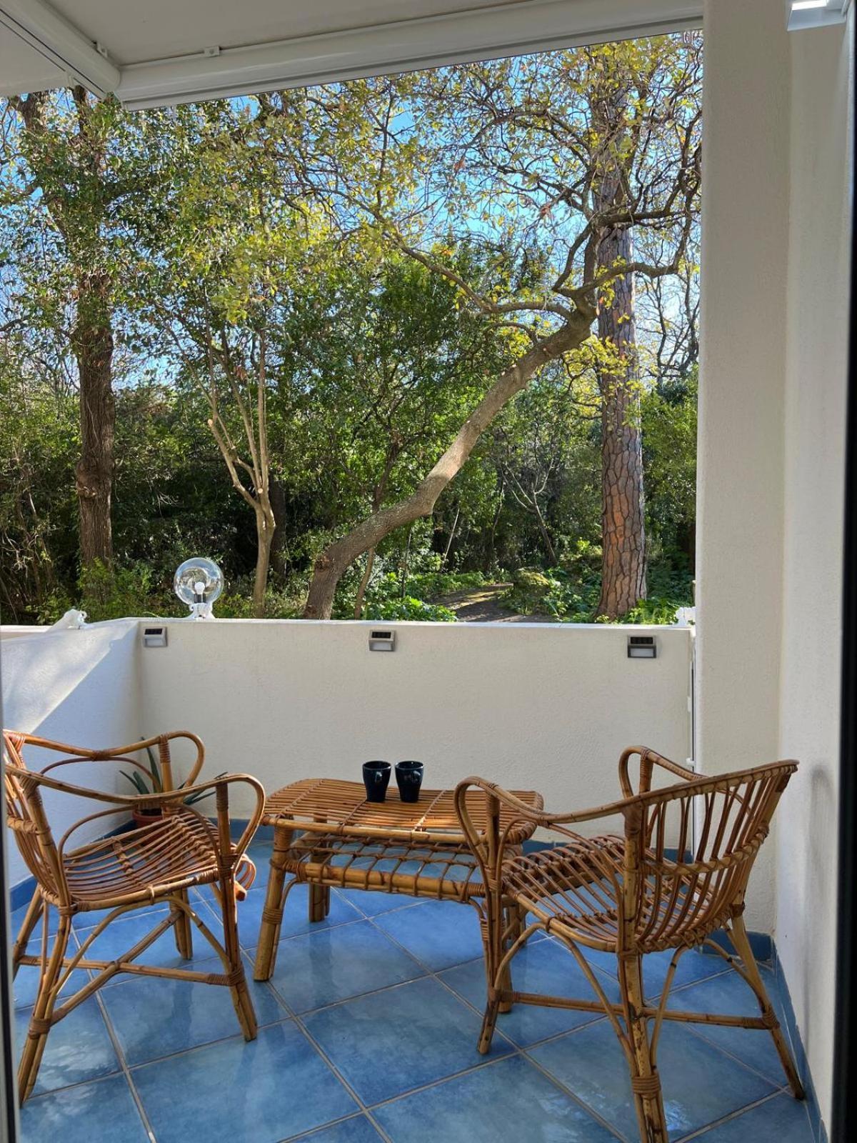 Casa Vacanza Imparo B&B Ischia Exterior foto